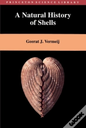Capa do artigo A Natural History Of Shells