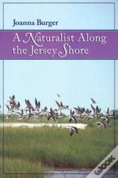 A Naturalist Along The Jersey Shore