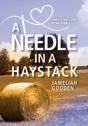 A Needle In A Haystack: How To Find Love - Preview
