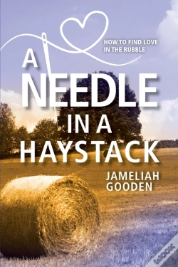 Capa do artigo A Needle In A Haystack: How To Find Love