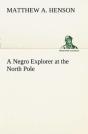 A Negro Explorer At The North Pole - Preview