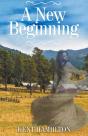 A New Beginning - Preview