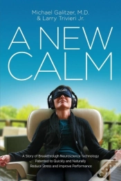 Capa do artigo A New Calm