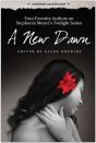 A New Dawn - Preview