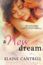 A New Dream - Preview