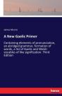 A New Gaelic Primer - Preview