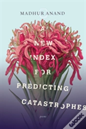 Capa do artigo A New Index For Predicting Catastrophes