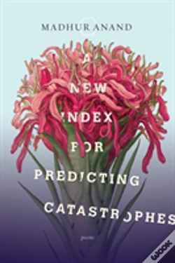 Capa do artigo A New Index For Predicting Catastrophes