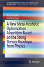 A New Meta-Heuristic Optimization Algorithm Based On The String Theory Paradigm From Physics - Preview