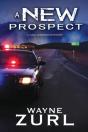 A New Prospect - Preview