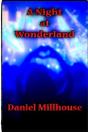 A Night At Wonderland - Preview