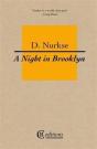 A Night In Brooklyn - Preview
