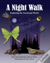 A Night Walk