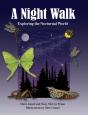 A Night Walk - Preview