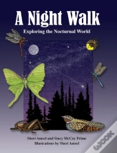 A Night Walk