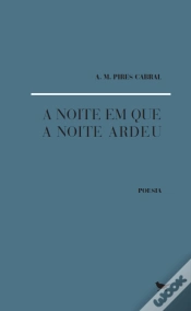 Capa do artigo A Noite em que a Noite Ardeu