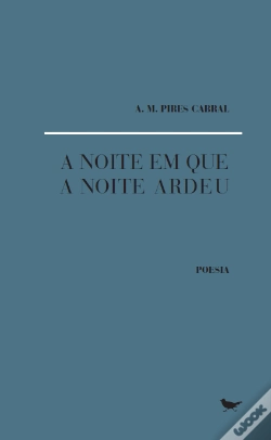 Capa do artigo A Noite em que a Noite Ardeu