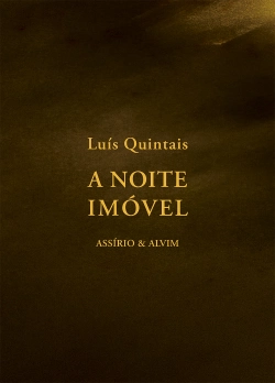 Capa do artigo A Noite Imóvel
