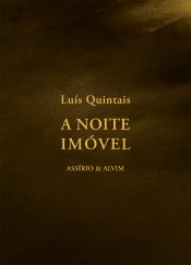 Capa do artigo A Noite Imóvel