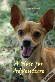 Capa do artigo A Nose For Adventure