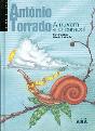 A Nuvem e o Caracol - Preview