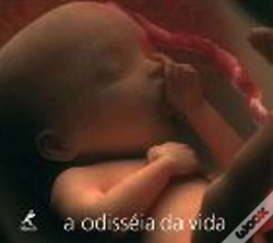 Capa do artigo A Odisseia da Vida