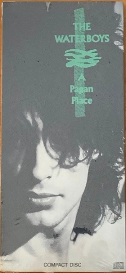 Capa do artigo A Pagan Place - CD