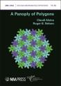 A Panoply Of Polygons - Preview