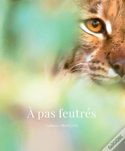 Capa do artigo A Pas Feutrés
