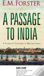 Capa do artigo A Passage To India