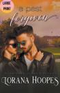 A Past Forgiven Large Print Edition - Preview
