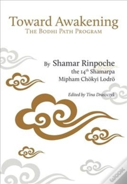 Capa do artigo A Path Of Practice