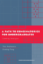 A Path To Combinatorics For Undergraduates - Preview