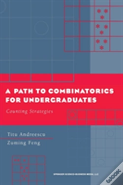Capa do artigo A Path To Combinatorics For Undergraduates