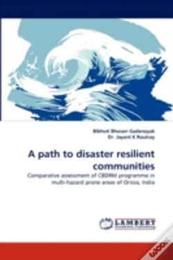 Capa do artigo A Path To Disaster Resilient Communities