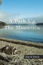 A Path Up The Mountain - Preview