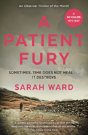 A Patient Fury - Preview