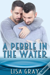 Capa do artigo A Pebble In The Water
