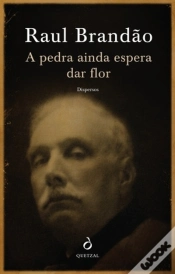 Capa do artigo A Pedra ainda Espera Dar Flor - Dispersos