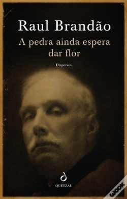 Capa do artigo A Pedra ainda Espera Dar Flor - Dispersos