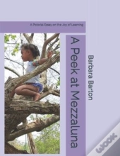 A Peek At Mezzaluna
