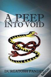 Capa do artigo A Peep Into Void
