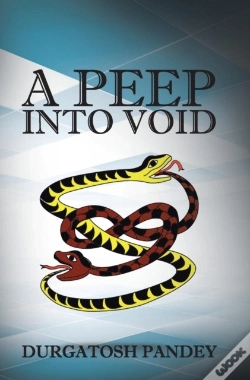 Capa do artigo A Peep Into Void