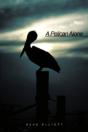 A Pelican Alone - Preview