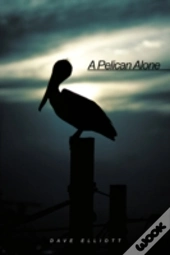 A Pelican Alone