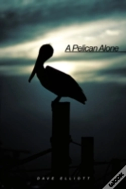 Capa do artigo A Pelican Alone