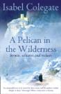 A Pelican In The Wilderness - Preview