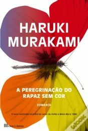 Capa do artigo A Peregrinação do Rapaz Sem Cor