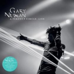 Capa do artigo A Perfect Circle - Vinil