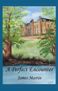A Perfect Encounter